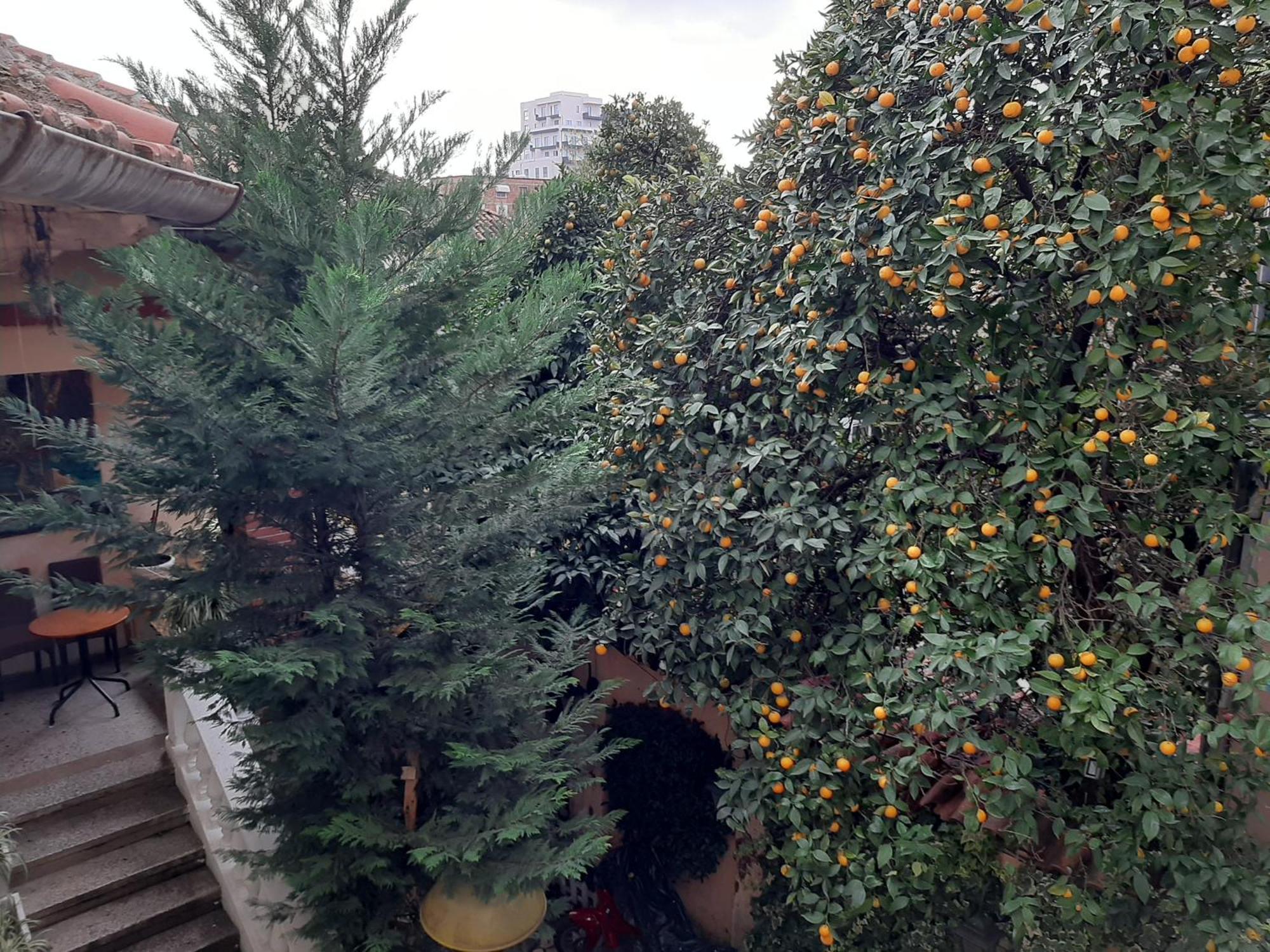 Enki'S Guesthouse Tirana Extérieur photo